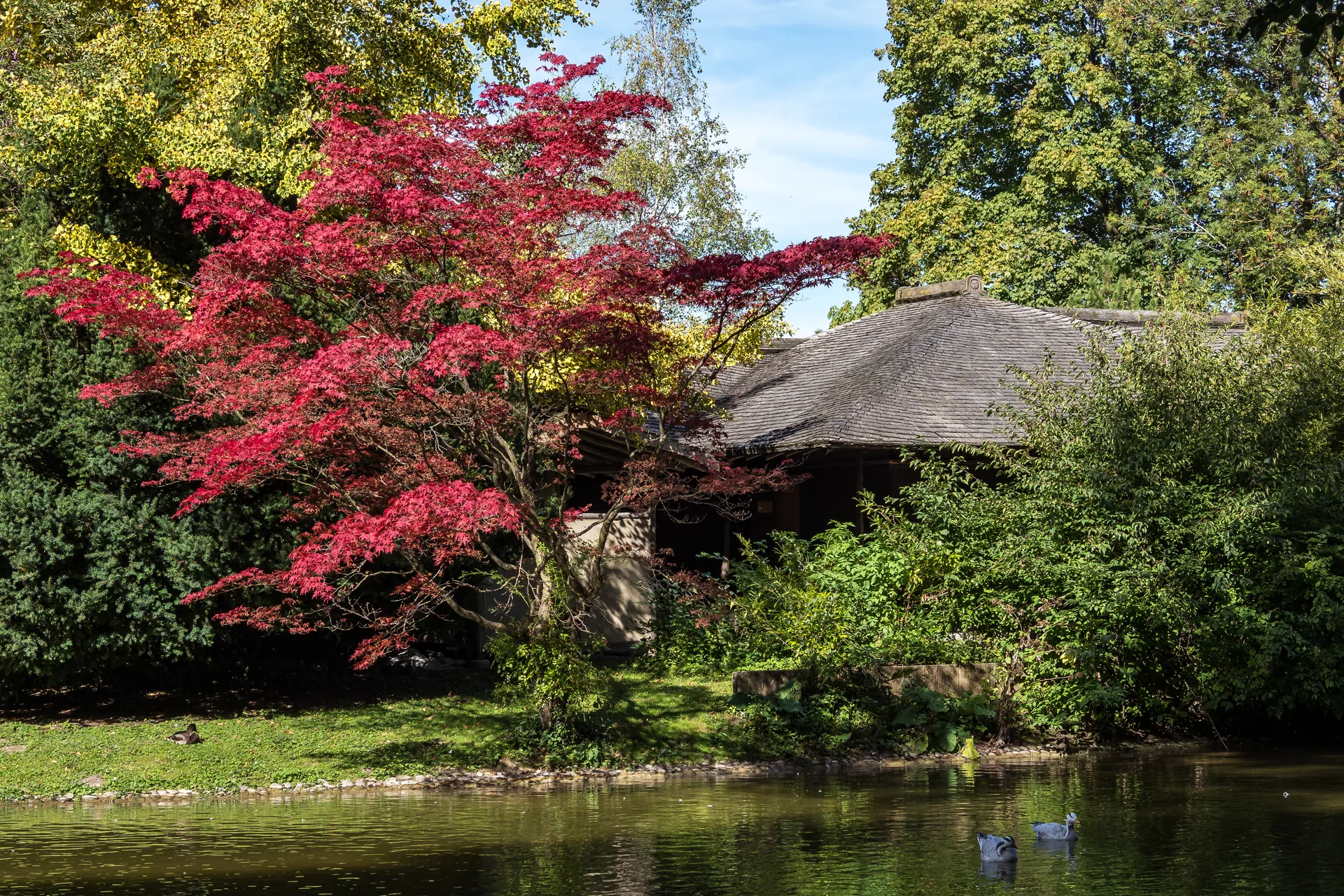 Immobilien mit Garten: Top Angebote in Lehel