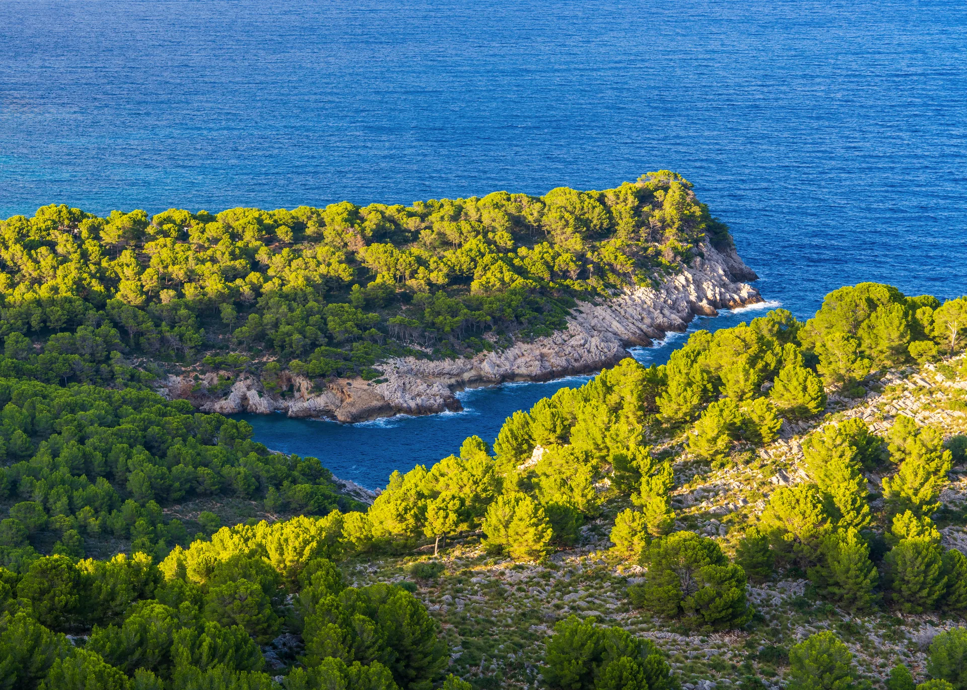 Porto Cristo Immobilie kaufen: Tipps für den Hauskauf in Mallorca