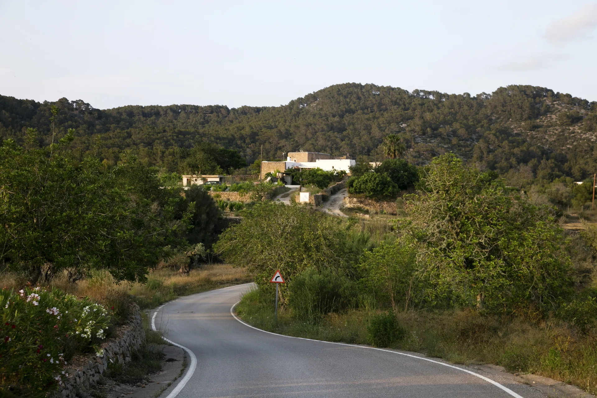 Traumhafte Aussichten: Die besten Regionen auf Ibiza mit Meerblick