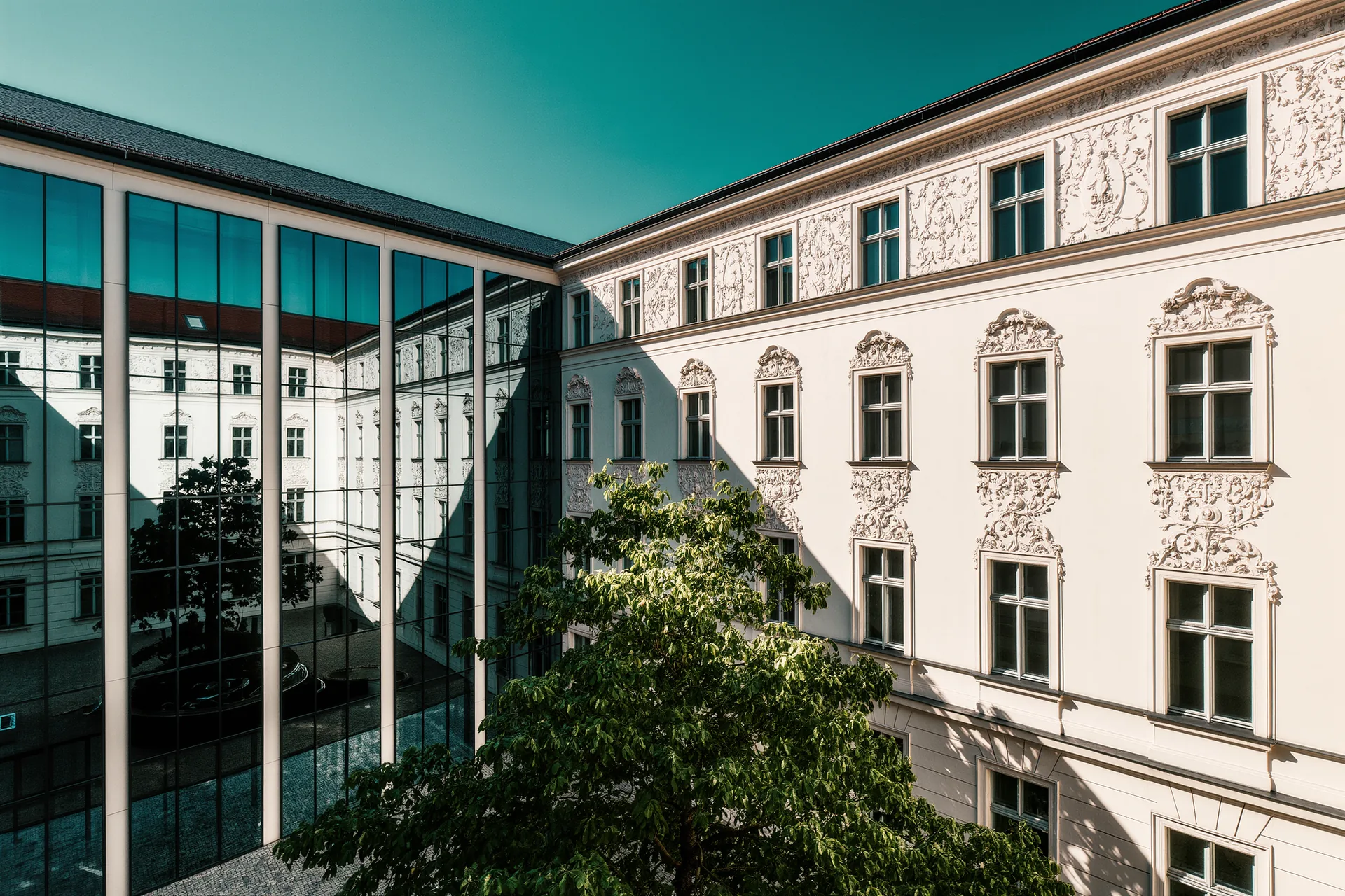 Umweltfreundliche Renovierungen in Berlin: Worauf Eigentümer achten sollten