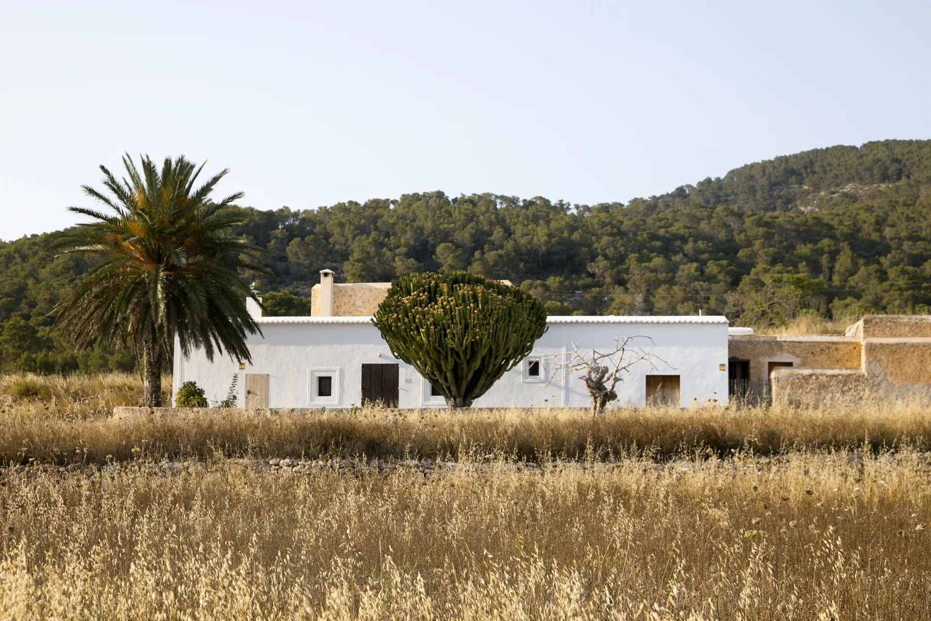 Warum Agentennetzwerke auf Ibiza den Immobilienkauf erleichtern